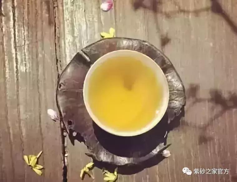 生普闷泡比例,生普是冲泡还是闷泡