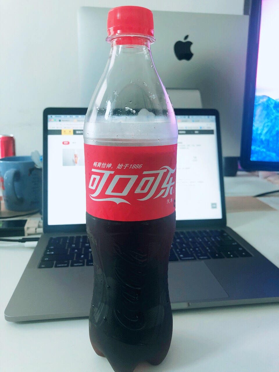 狗狗不爱喝水了怎么办,狗狗不爱喝水怎么办有什么妙招