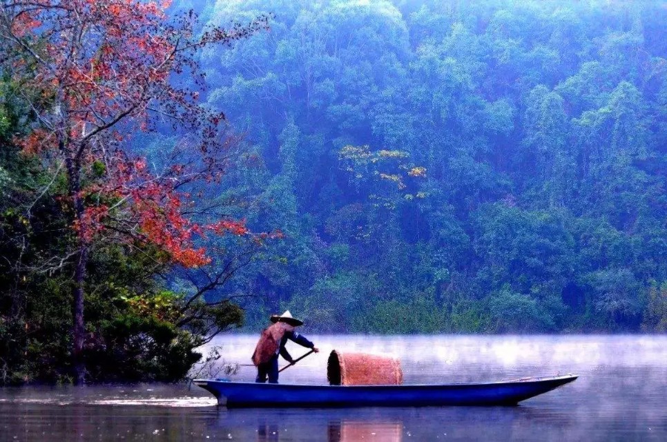 悟道和修道证道,如何见道修道和证道