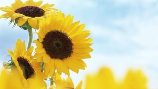 30岁一事无成我们需要怎样面对,30岁一事无成的十大缺点