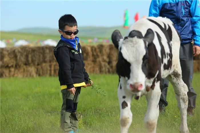 狗狗为啥不能喝小米粥,狗狗为何不可以吃番茄
