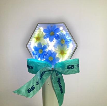 exo爱丽棒二代和三代区别,爱丽棒三代exo