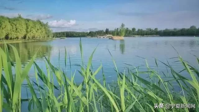 70年·夸夸我的城｜中卫：闻者向往来者依恋居者自豪