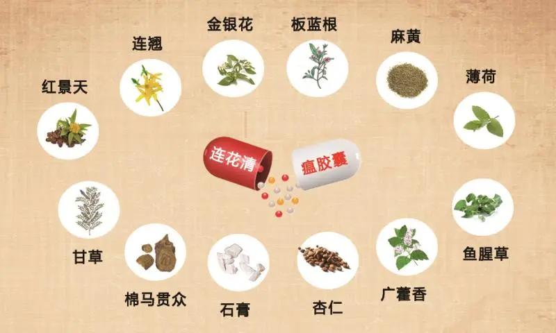 连花清瘟胶囊治疗感冒有用吗,流感连花清瘟胶囊的作用与功效