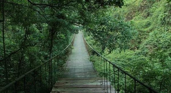 马云去的江西小镇,马云在浙江几个小镇