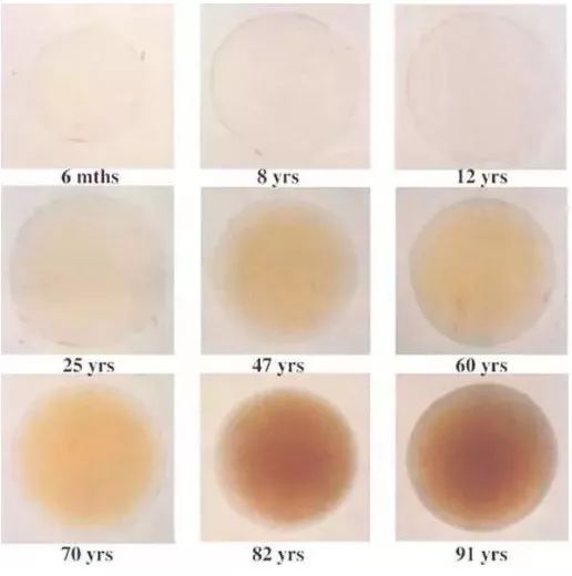 眼镜品牌排行榜前十名墨镜,一岁儿童墨镜测评推荐