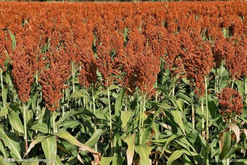 梅雨季，倍思秋，养成这个习惯一辈子不生病！