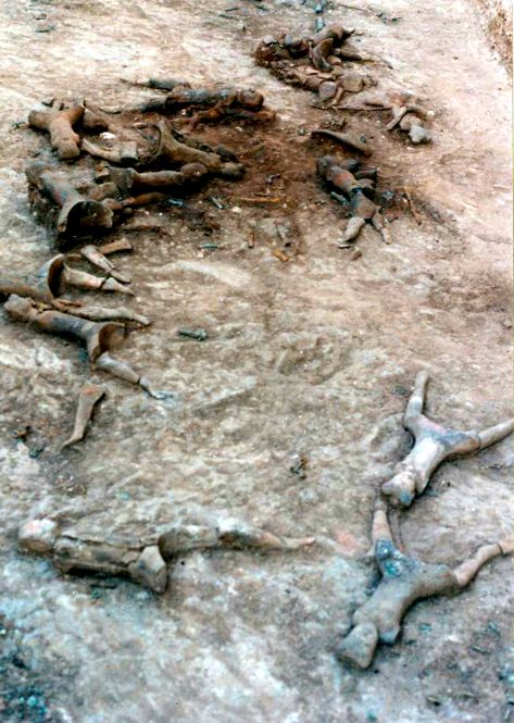 芒砀山景区有兵马俑,芒砀山梁孝王陵兵马俑