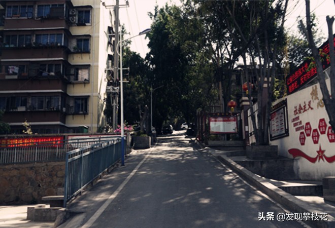 船厂生活区小区,攀枝花渡口船厂小区简介