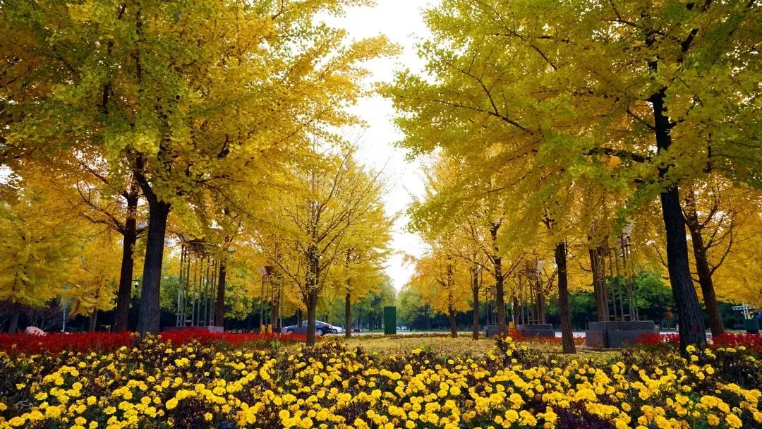 辽宁省普通高等院校,辽宁省沈阳本科大学