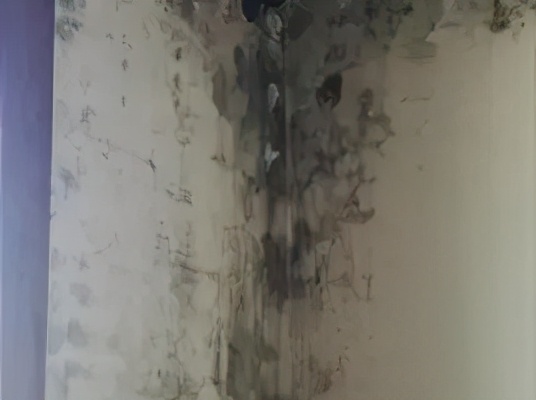 室内潮湿返潮处理方法,屋内墙壁返潮渗水怎么处理