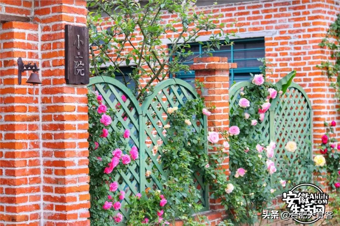 2020年,在这50个地方遇见不一样的合肥