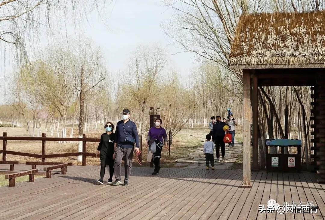 天津12座公园建成开放,2020天津已开放的郊野公园