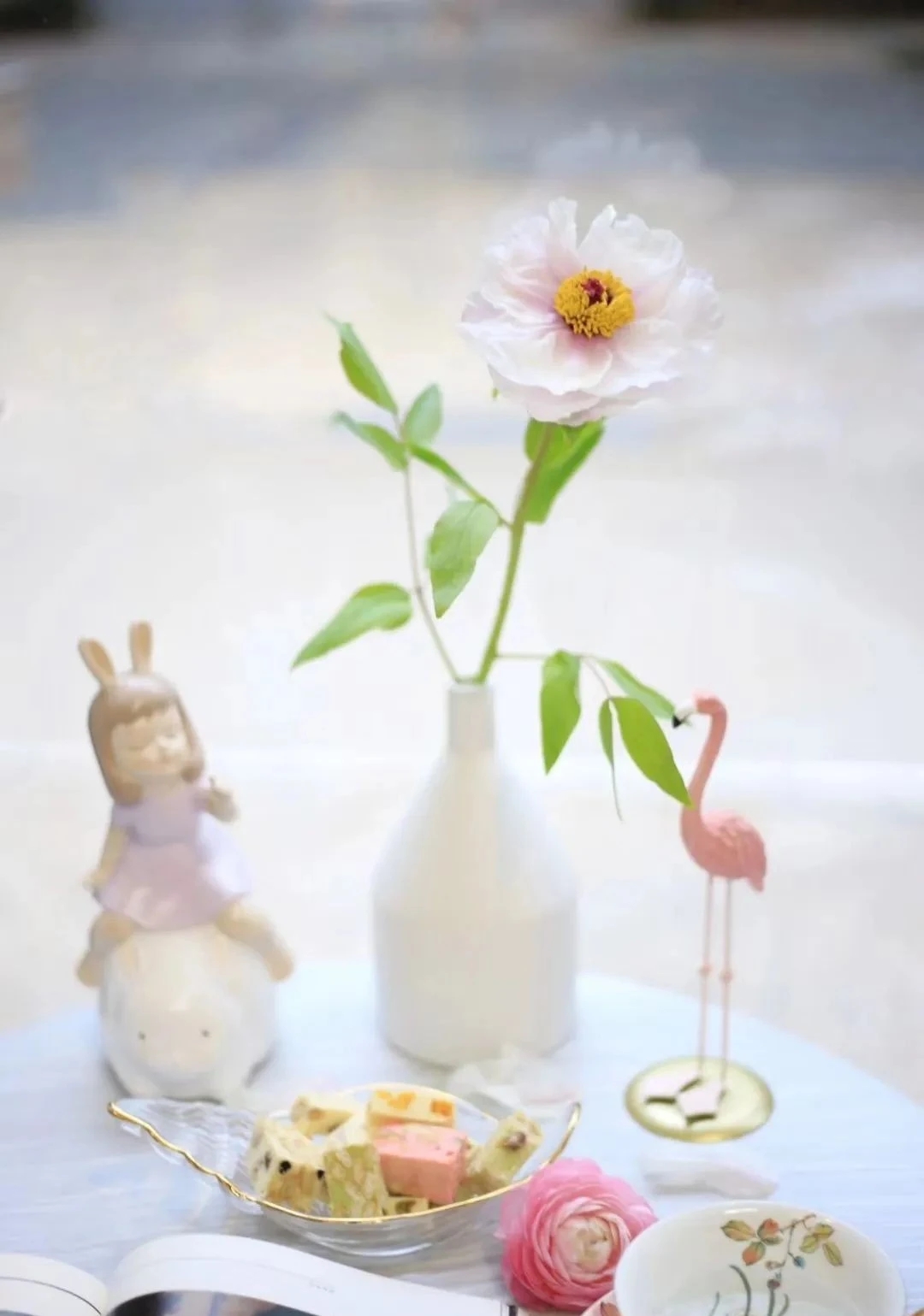 植库‖跟随仙气飘飘的油牡丹，追寻春天的步伐