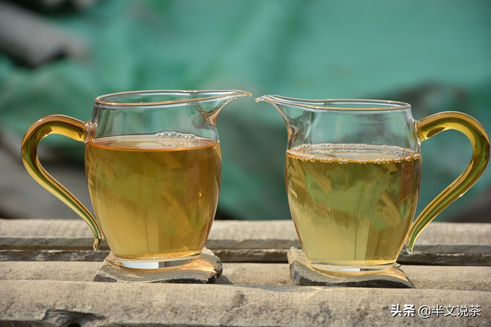 古树茶你必须知道的几个要素,如何挑选纯正的古树茶购买指南