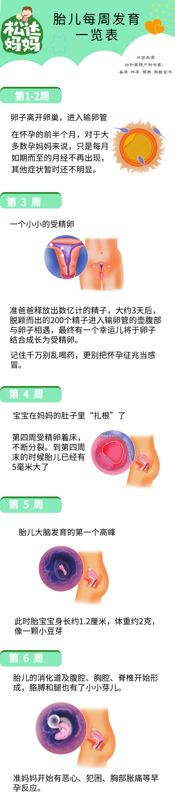 怀孕40周胎儿发育一览表，周周都有新变化！太神奇了
