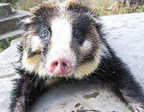 劳动人民辛苦吗,劳动人民阶级