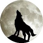 吵架快速和好的方法,吵架时如何快速战胜对方