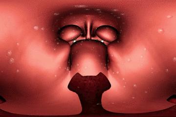 浣犵殑韬綋鍒板簳闀夸粈涔堟牱,浣犵煡閬撲綘鐨勮韩浣撻暱鍟ユ牱瀛愬悧