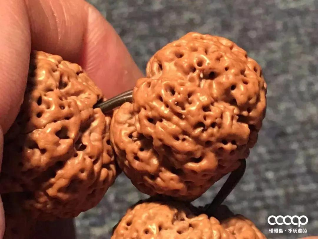 上万一条的药王籽火了后，很多尼泊尔树农大量从中国进药