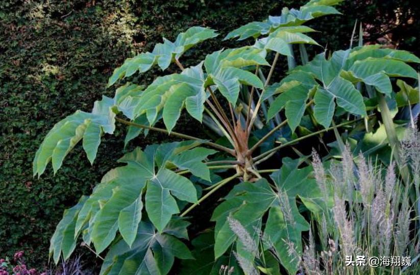 山海经第五卷小说,山海经第五篇