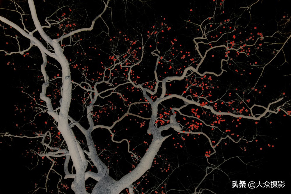 八种基本构图技巧,学会这九个实用构图技巧