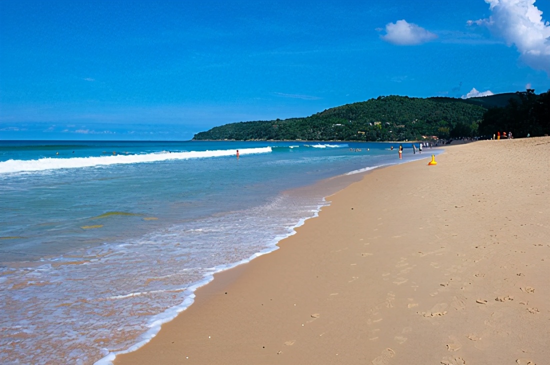 澳洲龙虾到底有多贵,超大的澳洲龙虾