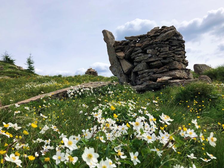 小五台山景区游玩攻略,小五台山快乐一日游