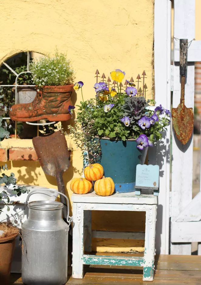 一个重度搪瓷爱好者的杂货花园