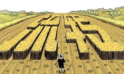 土地流转题材股票逻辑,土地流转概念大涨