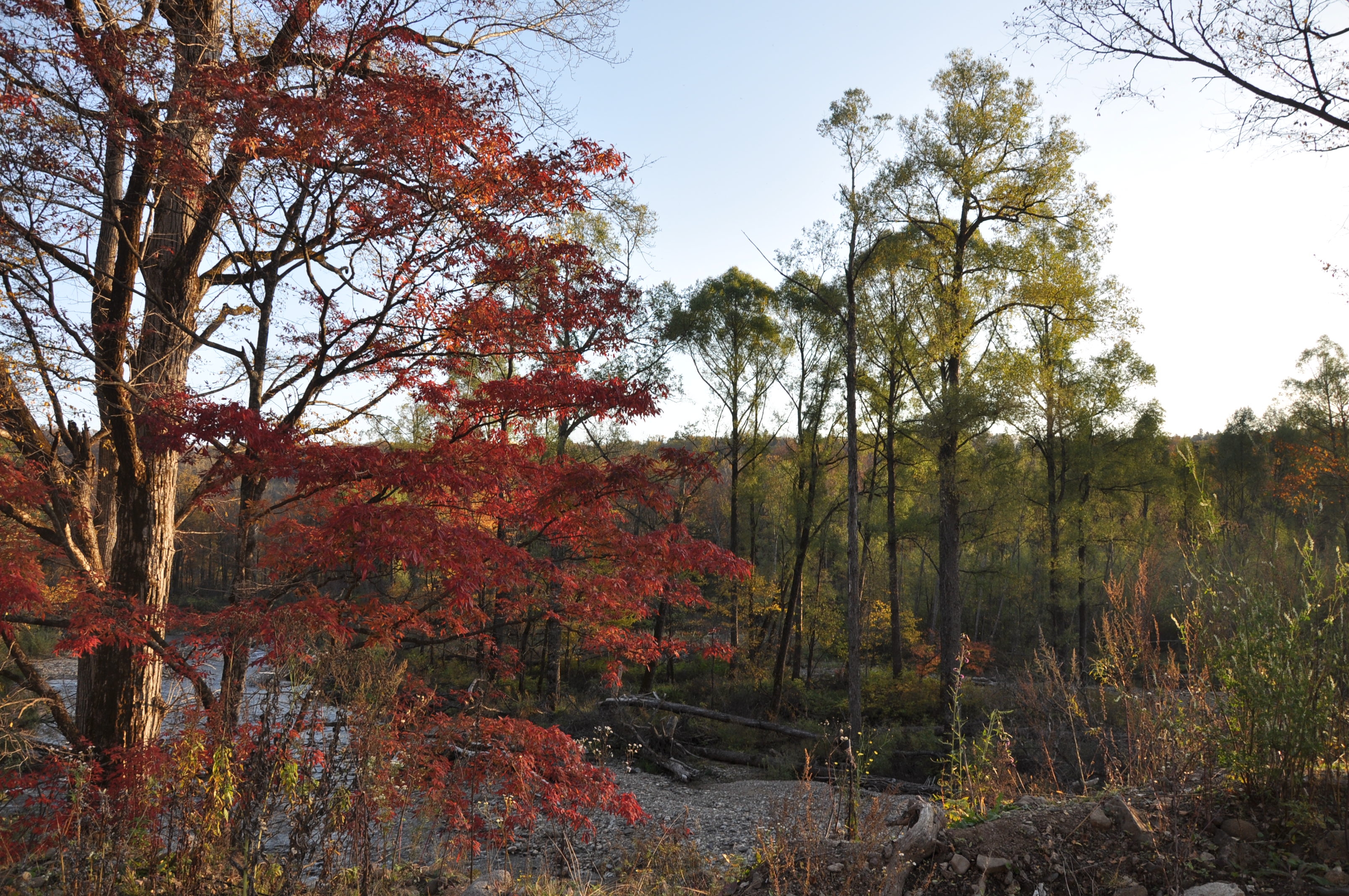 自驾西北行游记,我的西北边境自驾旅行日记