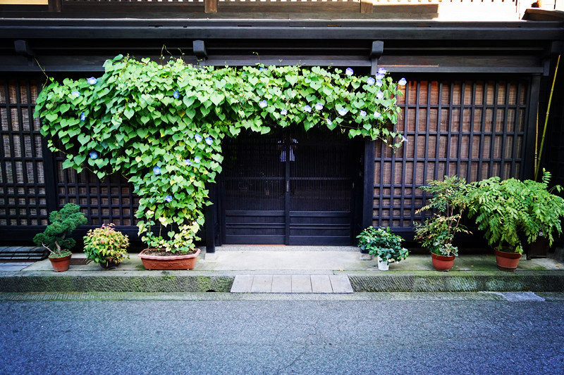 日本五天四夜旅游攻略视频,三天两夜的温泉之旅日本