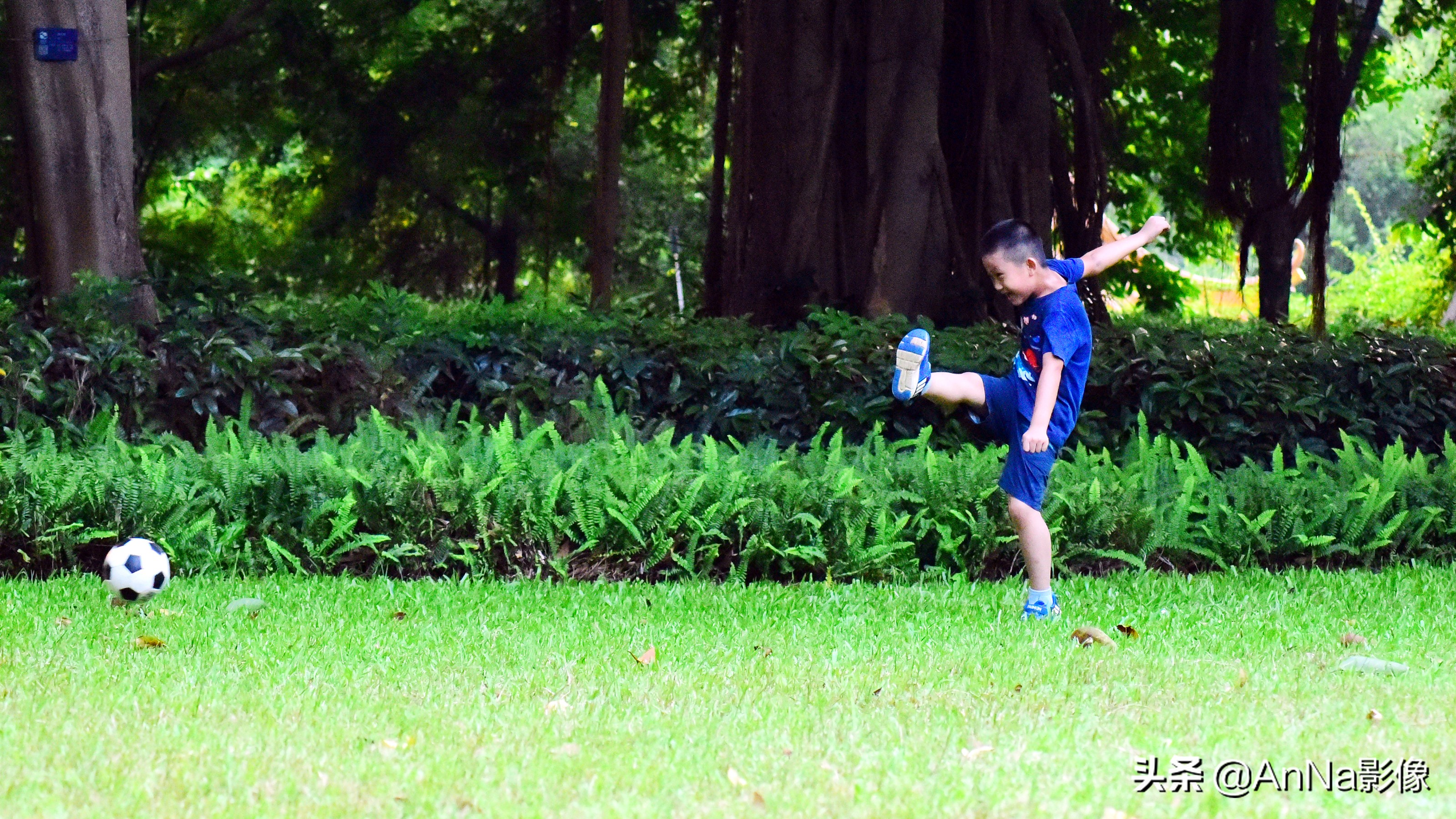 一大片绿荫草地成为孩子们的乐园,一片绿地就是孩子的乐园