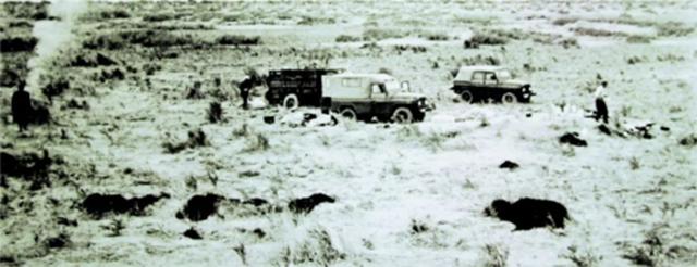 彭加木当初为何独自一人去找水,彭加木失踪真与找水有关系吗