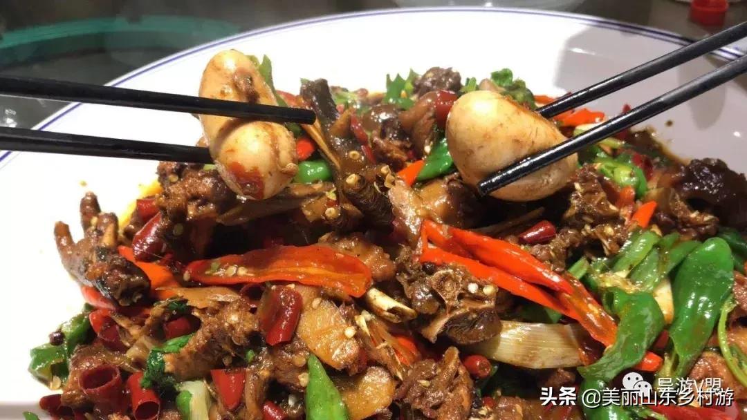 没有一只鸡能活着走出山东,没有一只鸡能活着离开