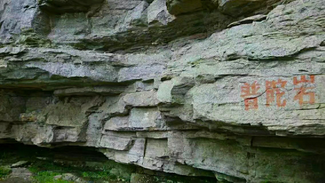 鬼斧神工崖柏,鬼斧神工刺青工作室