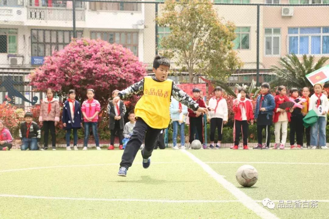 品品香有几个典藏,品品香是一线品牌吗