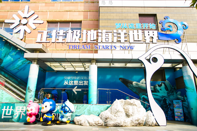 海洋极地海洋世界攻略,正佳极地海洋世界白鲸海象