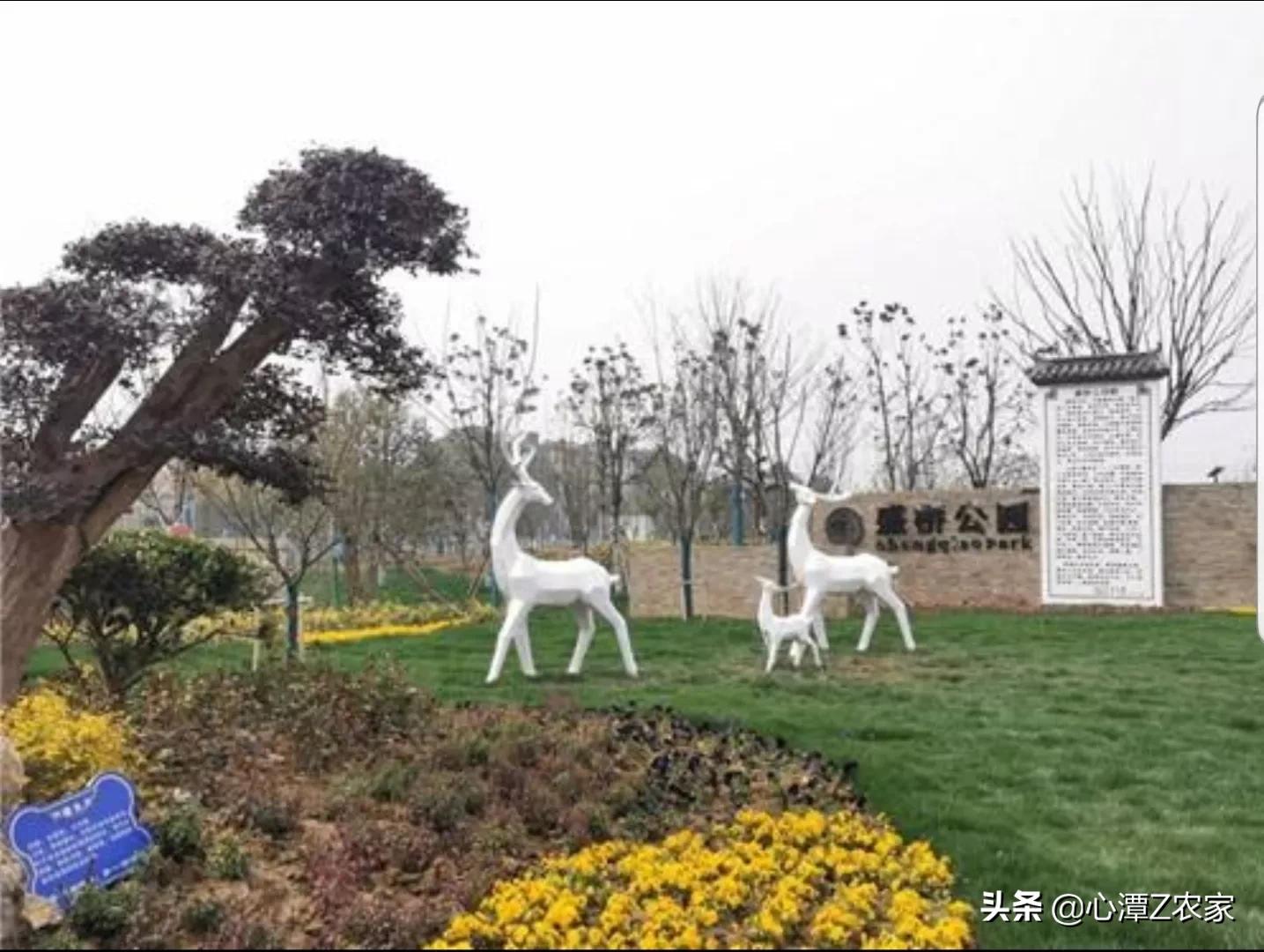 三分巢湖后，脱胎换骨的庐江