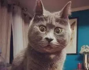 央视曝光的假货,央视曝光的假货最全名单来了