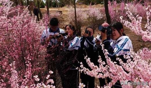 道教文化：陕西榆林二中学生到卧云山道观开展励志活动