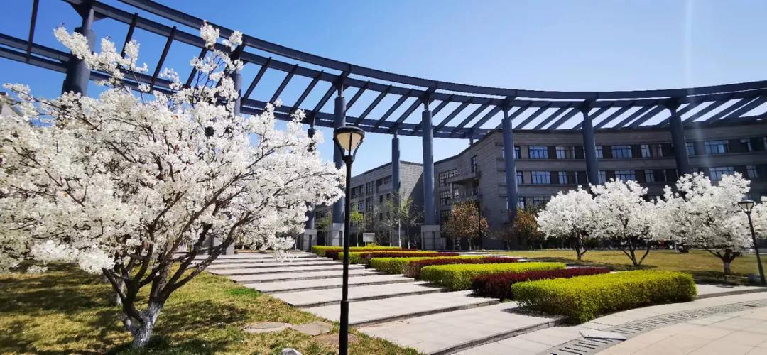 天津市普通高等院校（三）天津师范大学