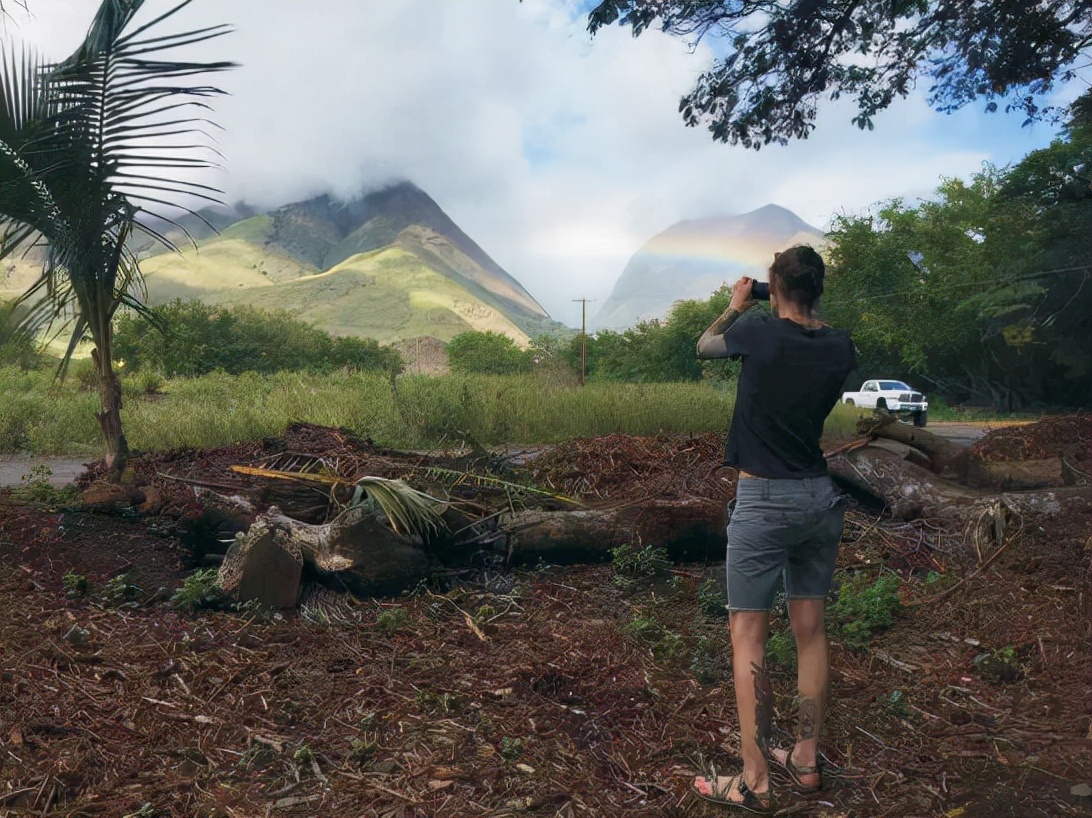 夏威夷的冬天简谱,夏威夷的冬天