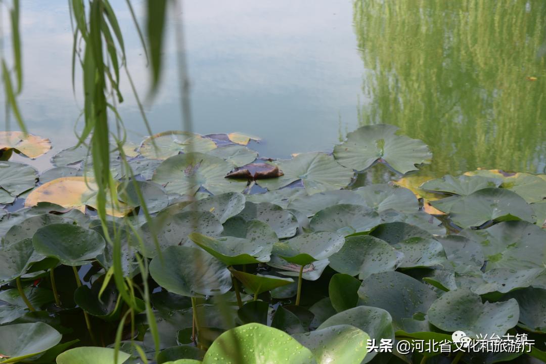 兴台古镇游玩攻略,兴台古镇美景
