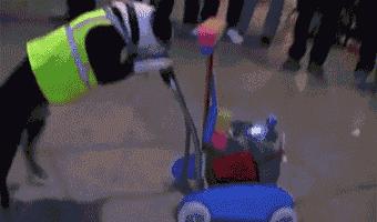 超级搞笑gif图,超好笑gif图