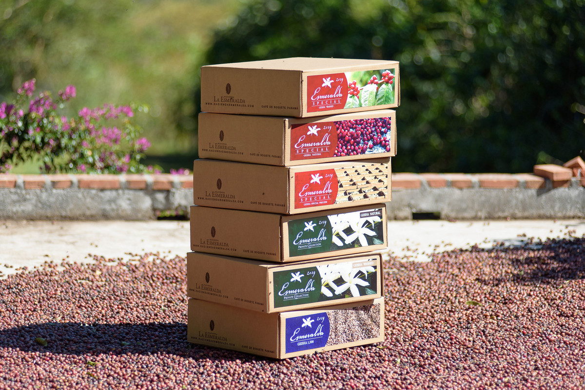 最贵的咖啡猫屎咖啡,世界上最贵的咖啡与最便宜的咖啡