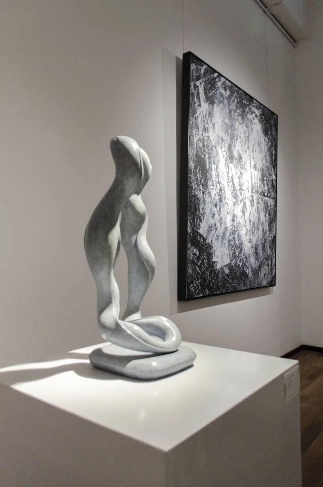 casabrava意大利瓷砖,casabrava硅化木