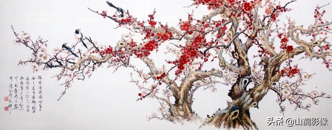 中国四大国花是什么,中国国花牡丹介绍