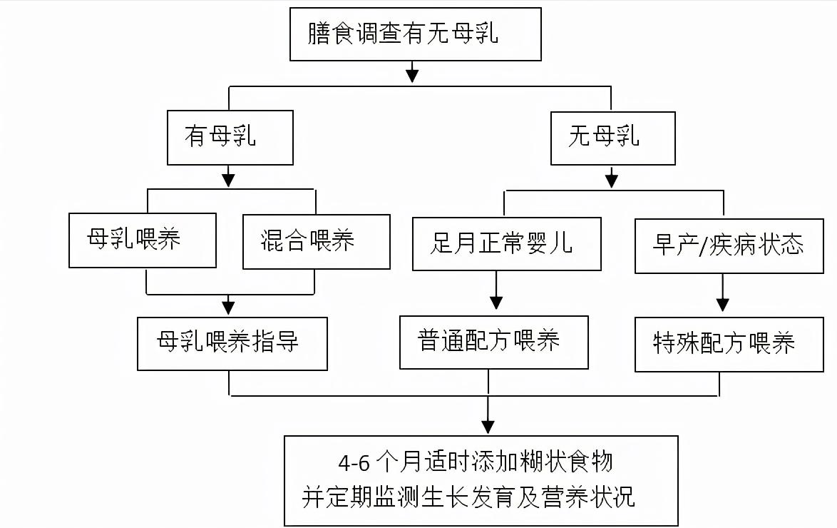 儿童营养与喂养指导,婴幼儿喂养指导及营养知识