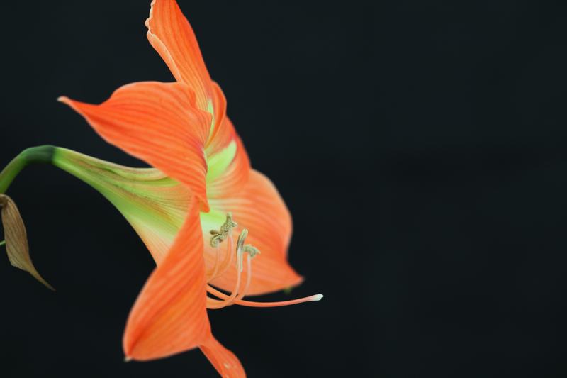 拥有这“二多二少”，你就是个幸福的人